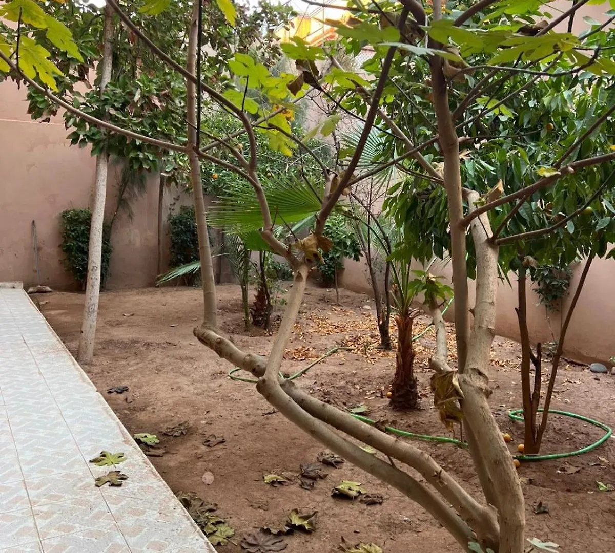 Imane Villa Calm And Comfortable Marrakesh Morocco